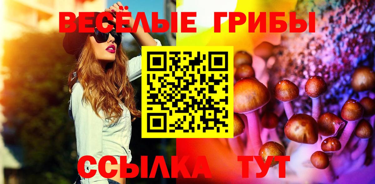 Подольск  Псилоцибиновые грибы прущие грибы  Вход с VPN 