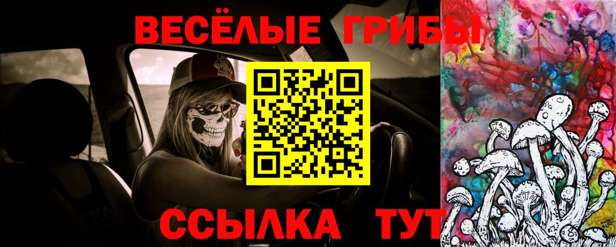 Галлюциногенные грибы Psilocybine cubensis Подольск